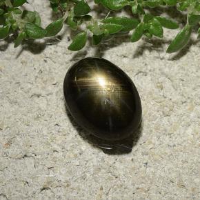 Saphir étoilé noir naturelle coupe ovale, 2,47 ct, opaque