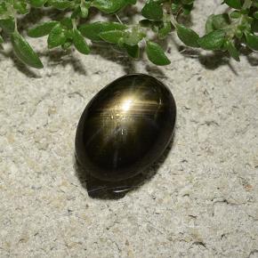 Saphir étoilé noir naturelle coupe ovale, 2,47 ct, opaque