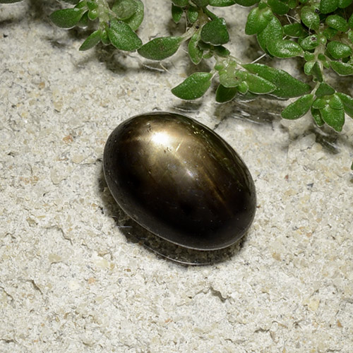 Saphir Étoilé Noire naturelle Coupe ovale, 2.41 ct, Opaque