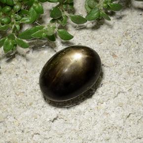 Saphir Étoilé Noire naturelle Coupe ovale, 2.41 ct, Opaque