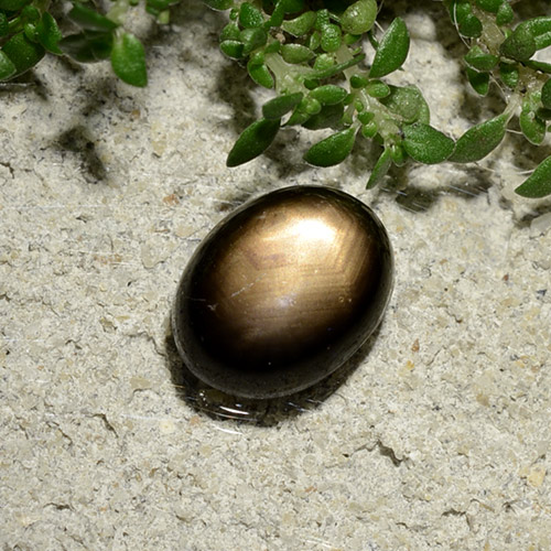 Saphir Étoilé Noire naturelle Coupe ovale, 2.06 ct, Opaque