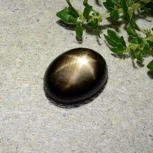 Saphir étoilé noir naturelle coupe ovale, 1,97 ct, opaque