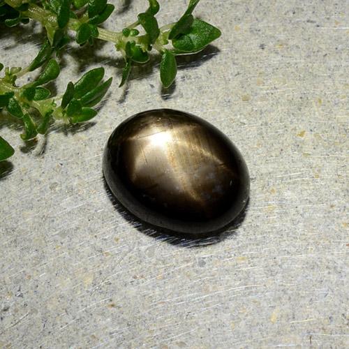 Saphir étoilé noir naturelle coupe ovale, 1,97 ct, opaque