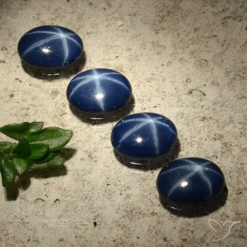 Shop natural 3.01ct Bleu foncé Saphir étoilé gems, ovale, from Thaïlande at GemSelect. In stock, global shipping!