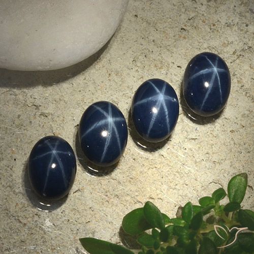 5.55ctw Naturel Bleu marine profond Saphir étoilé, ovale, Opaque