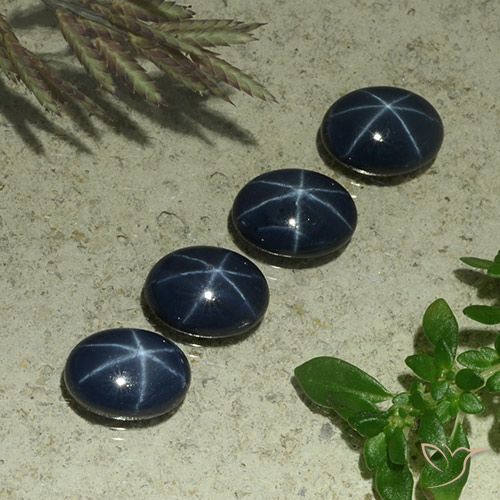 4.85ctw Naturel Bleu foncé Saphir étoilé, ovale, Opaque