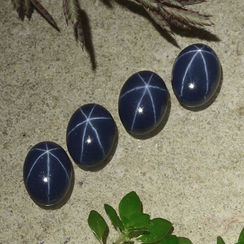 4.57ctw Naturel Bleu foncé Saphir étoilé, ovale, Opaque