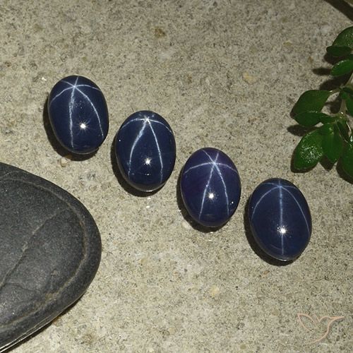 4.72ctw Naturel Bleu foncé Saphir étoilé, ovale, Opaque