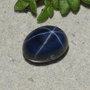 Saphir Étoilé Bleu marine profond naturelle Coupe ovale, 1.71 ct, Opaque