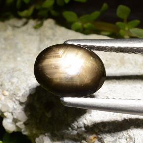 Saphir étoilé noir naturelle coupe ovale, 2,71 ct, opaque