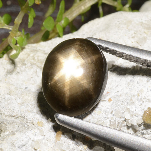 Saphir Étoilé Noire naturelle Coupe ovale, 2.78 ct, Opaque