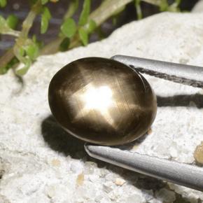 Saphir Étoilé Noire naturelle Coupe ovale, 2.78 ct, Opaque