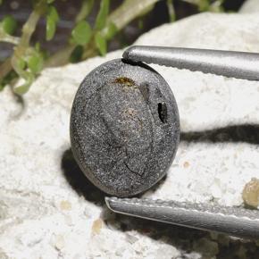 Saphir Étoilé Noire naturelle Coupe ovale, 2.78 ct, Opaque