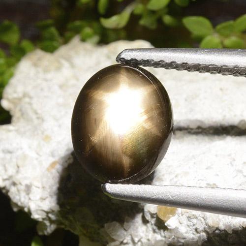 Saphir étoilé noir naturelle coupe ovale, 2,65 ct, opaque