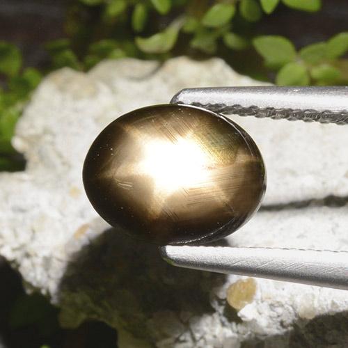 Saphir étoilé noir naturelle coupe ovale, 2,65 ct, opaque