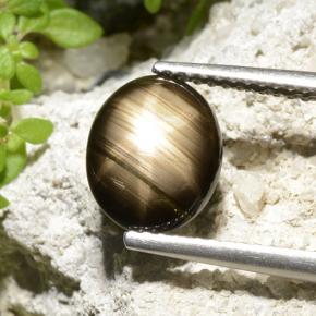 Saphir Étoilé Noire naturelle Coupe ovale, 2.32 ct, Opaque