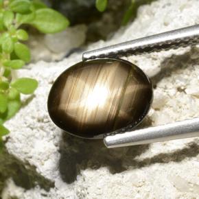 Saphir Étoilé Noire naturelle Coupe ovale, 2.32 ct, Opaque