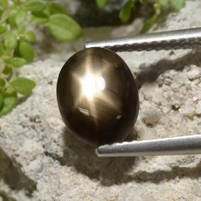 Saphir Étoilé Noire naturelle Coupe ovale, 3.33 ct, Opaque