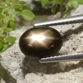 Saphir Étoilé Noire naturelle Coupe ovale, 3.33 ct, Opaque