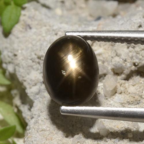 Saphir Étoilé Noire naturelle Coupe ovale, 3.94 ct, Opaque