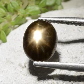 Saphir Étoilé Noire naturelle Coupe ovale, 2.54 ct, Opaque