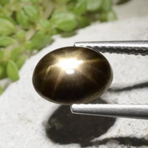 Saphir Étoilé Noire naturelle Coupe ovale, 2.54 ct, Opaque