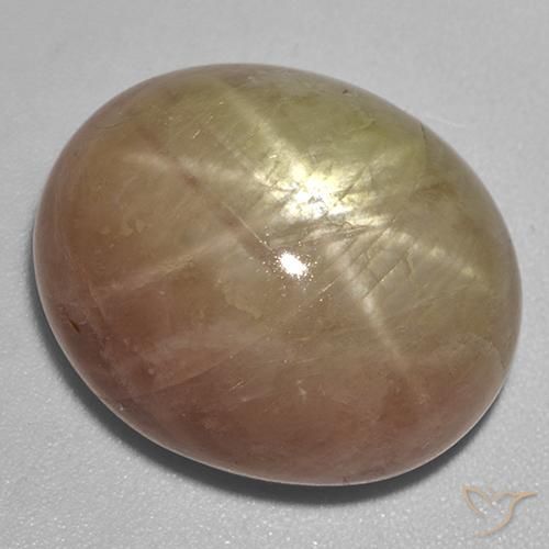 29.51ct Naturel Doré orangé Saphir étoilé, ovale, Opaque