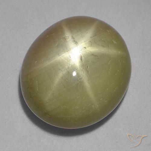 32.10ct Naturel Jaune doré Saphir étoilé, ovale, Opaque