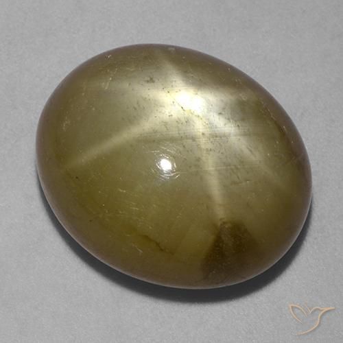 28.69ct Naturel Or Saphir étoilé, ovale, Opaque