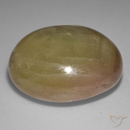 Saphir étoilé Doré orangé naturelle ovale, 58.57 ct, Opaque