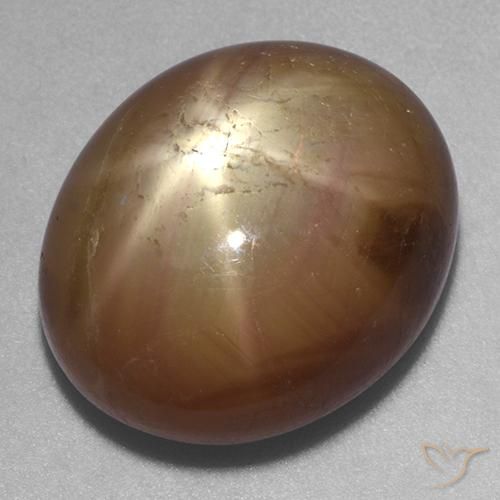 22.20ct Naturel Doré orangé Saphir étoilé, ovale, Opaque