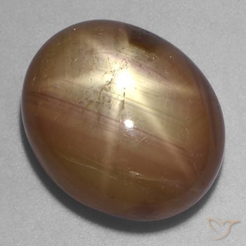 Saphir étoilé Doré orangé naturelle ovale, 22.20 ct, Opaque