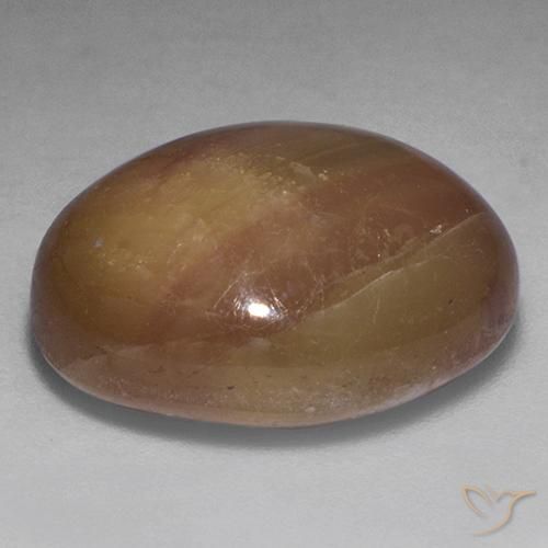 Saphir étoilé Doré orangé naturelle ovale, 22.20 ct, Opaque