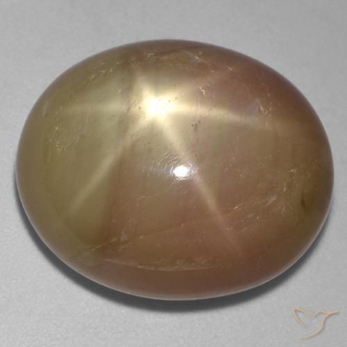 31.95ct Naturel Doré orangé Saphir étoilé, ovale, Opaque