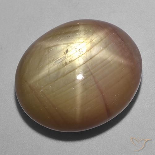 40.06ct Naturel Doré orangé Saphir étoilé, ovale, Opaque