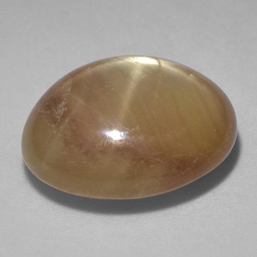 Saphir Étoilé Doré orangé naturelle Coupe ovale, 21.51 ct, Opaque