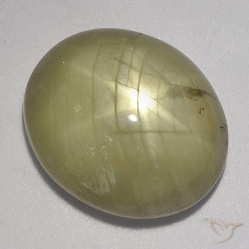 23.11ct Naturel Jaune neutre Saphir étoilé, ovale, Opaque