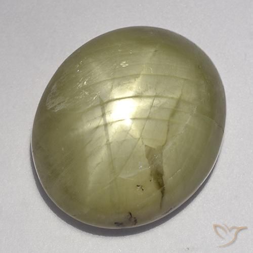 Saphir étoilé Jaune neutre naturelle ovale, 23.11 ct, Opaque