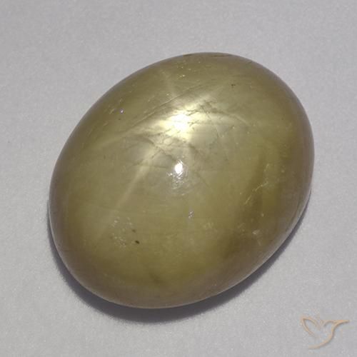 16.71ct Naturel Jaune doré Saphir étoilé, ovale, Opaque