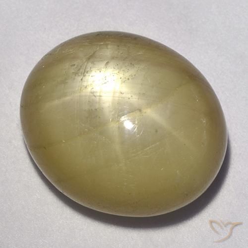 Saphir étoilé Jaune moyen naturelle ovale, 35.27 ct, Opaque