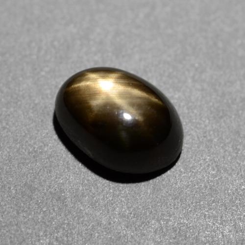 Saphir Étoilé Noire naturelle Coupe ovale, 1.45 ct, Opaque