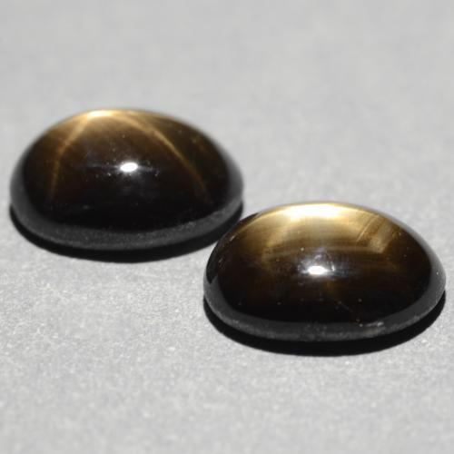 Achetez naturel 2.61ct Noire Saphir Étoilé gems, Coupe ovale, En provenance Thaïlande chez GemSelect. En stock, livraison internationale!