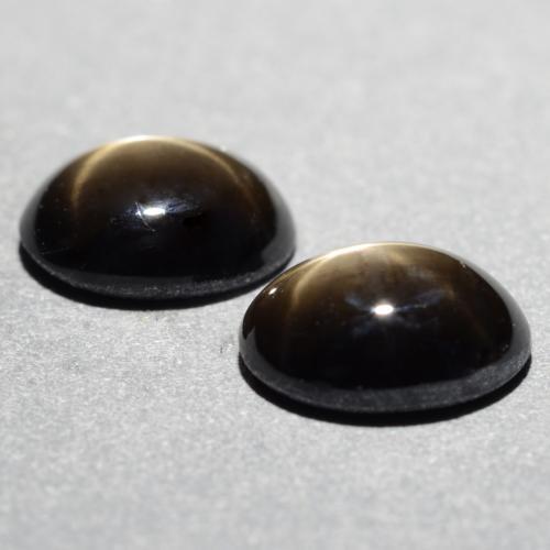 Achetez naturel 1,81ct noir saphir étoilé gems, coupe ovale, en provenance thaïlande chez gemselect. en stock, livraison internationale!