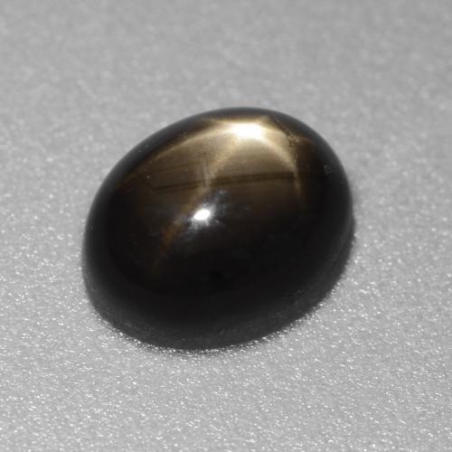 Saphir étoilé noir naturelle coupe ovale, 1,49 ct, opaque