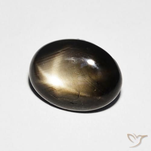 Saphir étoilé Noire naturelle ovale, 3.25 ct, Opaque