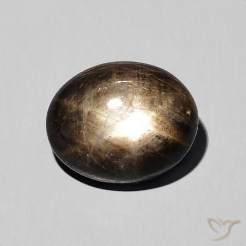 Saphir étoilé Noire naturelle ovale, 5.76 ct, Opaque