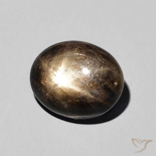 Saphir étoilé Noire naturelle ovale, 5.76 ct, Opaque