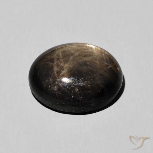 Saphir étoilé Noire naturelle ovale, 5.76 ct, Opaque