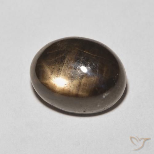 Saphir étoilé Noire naturelle ovale, 6.28 ct, Opaque