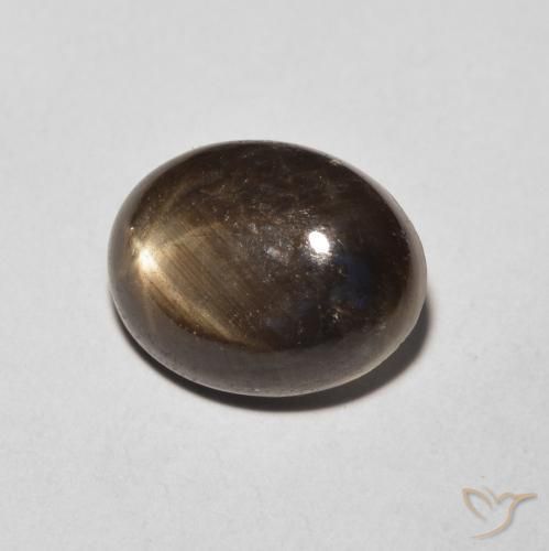 Saphir étoilé Noire naturelle ovale, 4.26 ct, Opaque